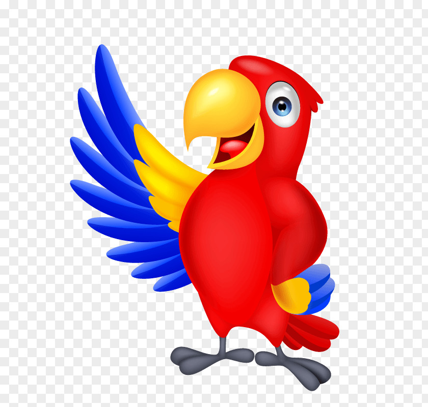 Parrot Macaw Vector Graphics Bird Royalty-free PNG