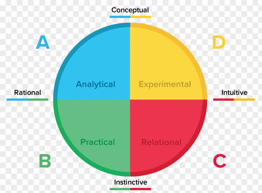 Problem Solving Thinking Herrmann Brain Dominance Instrument Color Hartman Personality Profile Psychometrics Yellow PNG