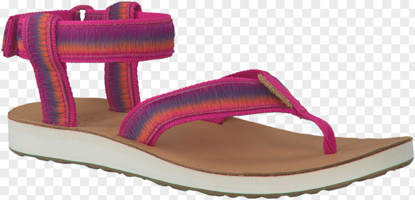 Sandal Teva Shoe Footwear PNG