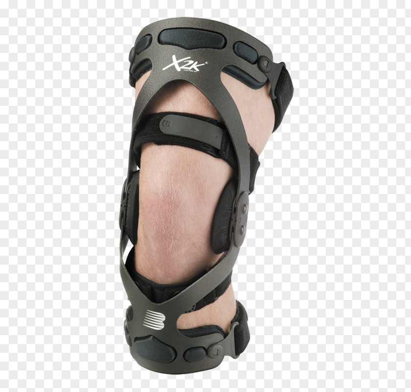 Anterior Cruciate Ligament Knee Breg, Inc. Posterior PNG