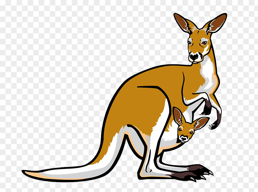 Cartoon Kangaroo Mother Red Pouch Illustration PNG
