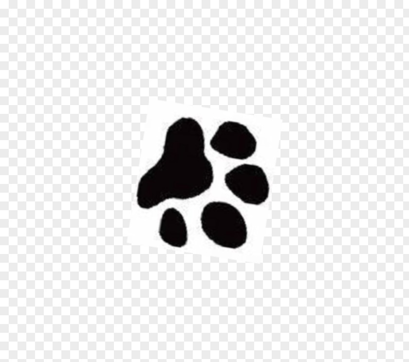 Dog Paw Print Image Yorkshire Terrier Cat Cougar Clip Art PNG