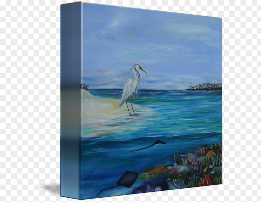 Egret Poster Design Heron Painting Seabird Acrylic Paint PNG