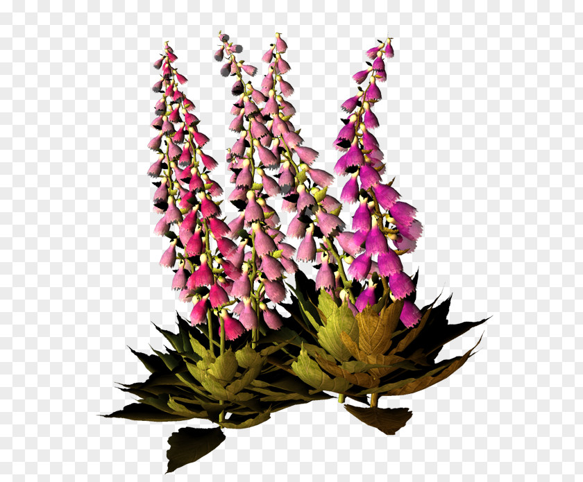 Fond Ecran Floral Design Cut Flowers Clip Art PNG