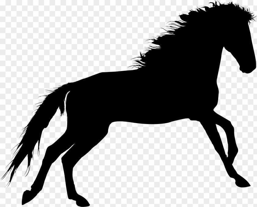 Horse Silhouette Pleasure Riding Clip Art PNG