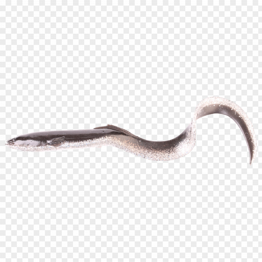 Silver Eel 5G 4G Reptile PNG