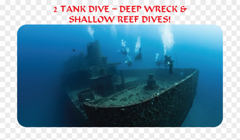 Water Sea Marine Biology Shipwreck PNG