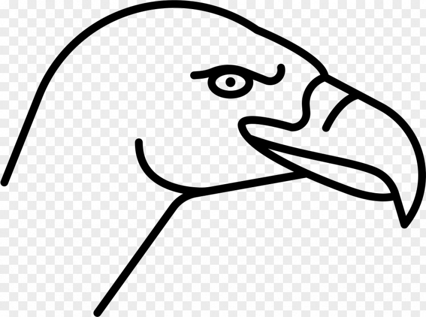 Bird Beak Vulture Clip Art PNG