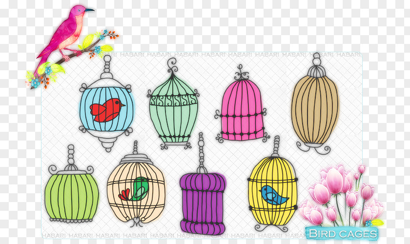 Parrot Domestic Canary Birdcage PNG