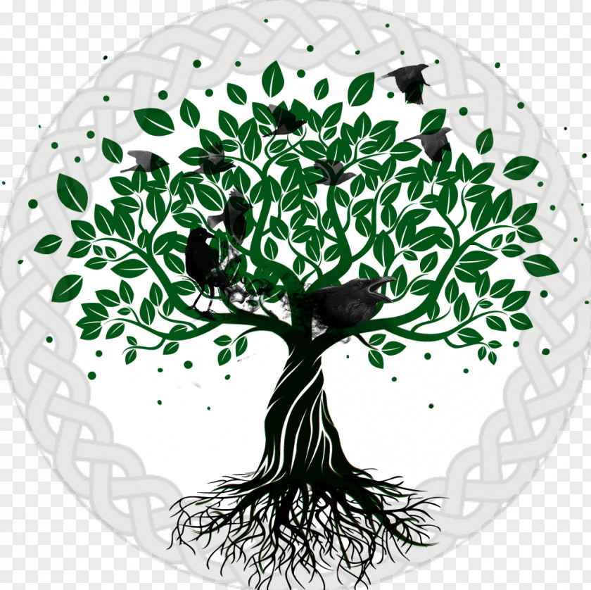 Tree Of Life PNG