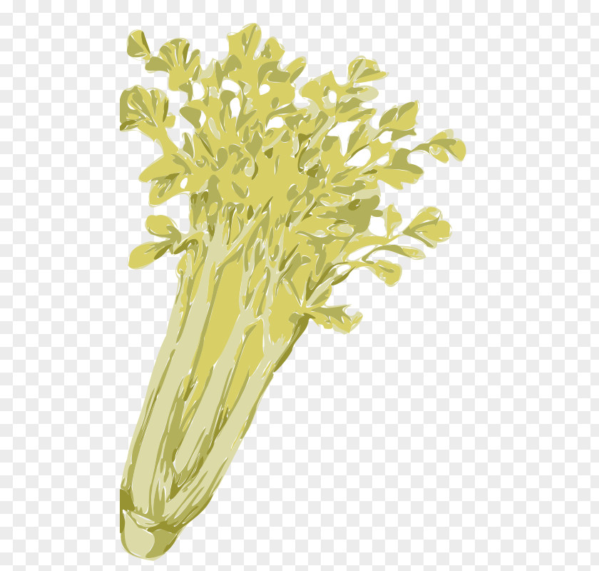 Celery Vegetable Clip Art PNG