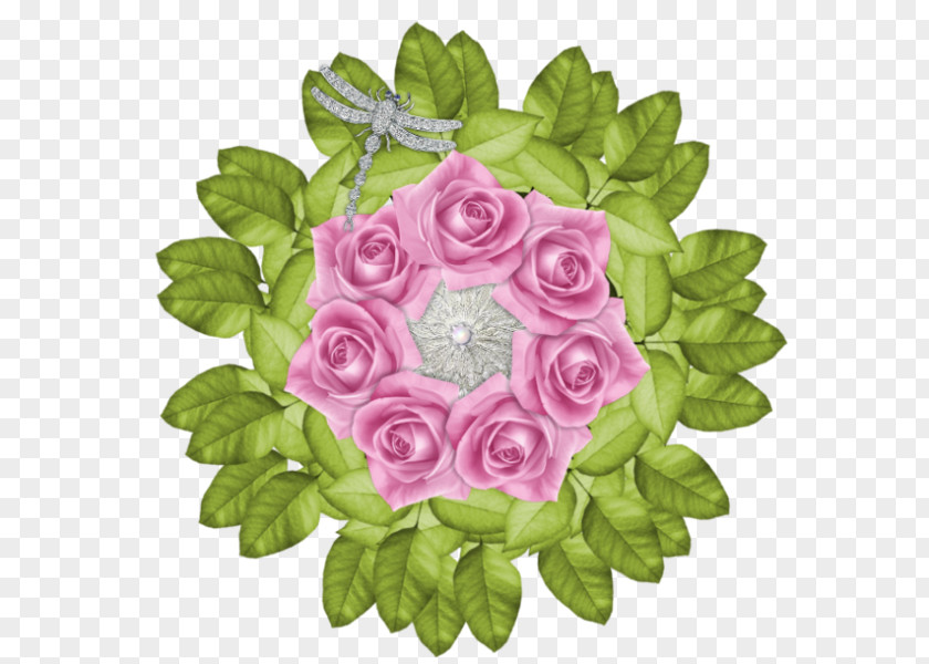 Flower Garden Roses Cabbage Rose Floral Design Cut Flowers PNG