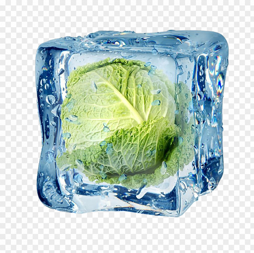 Frozen Cabbage Freezing Food Ice Cube Vegetable PNG