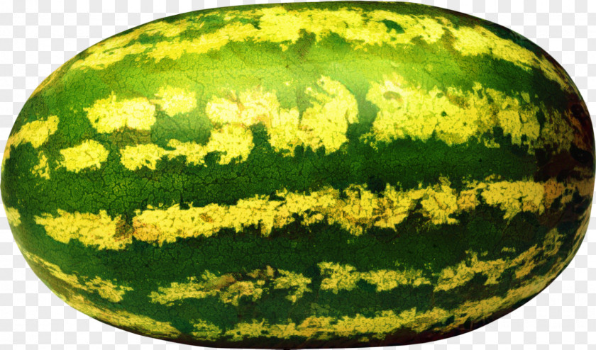 Vegetable Figleaf Gourd Watermelon Cartoon PNG
