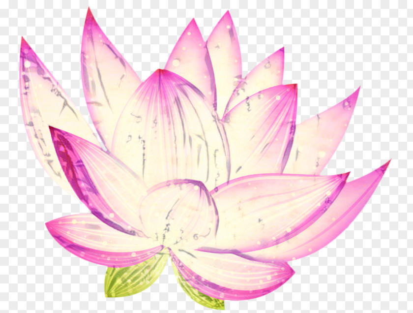 Wildflower Magenta Pink Flower Cartoon PNG