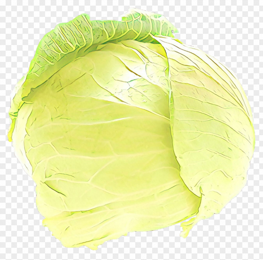 Cabbage Greens PNG