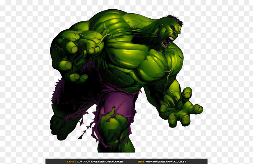 Imagem Hulk T-shirt Superhero Crew Neck PNG
