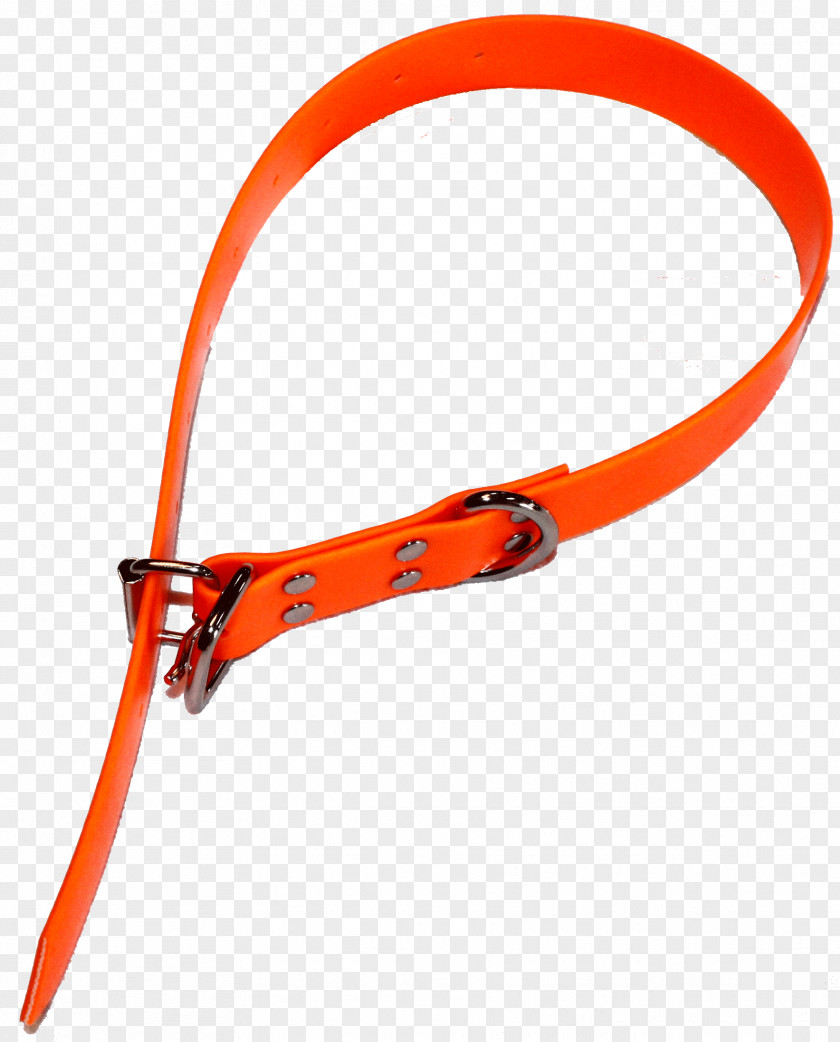 Line Leash PNG