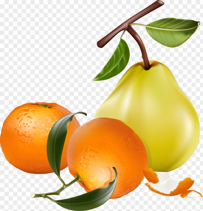 Pear Fruit Desktop Wallpaper Clip Art PNG