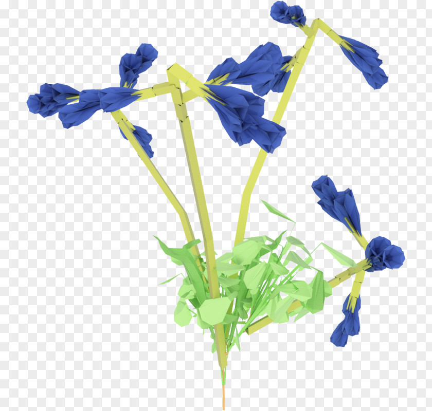 Plant Cut Flowers Stem Flowering PNG