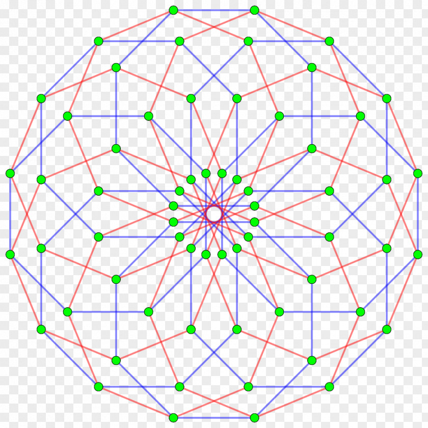 Polygonum Multiflorum Edge Hypercube Polytope Regular Polygon PNG