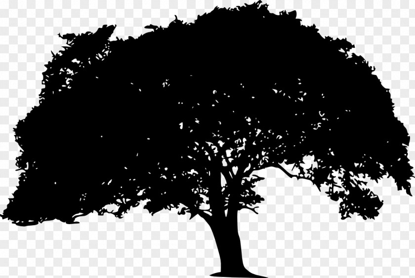 Silhouette Clip Art Transparency Image Tree PNG