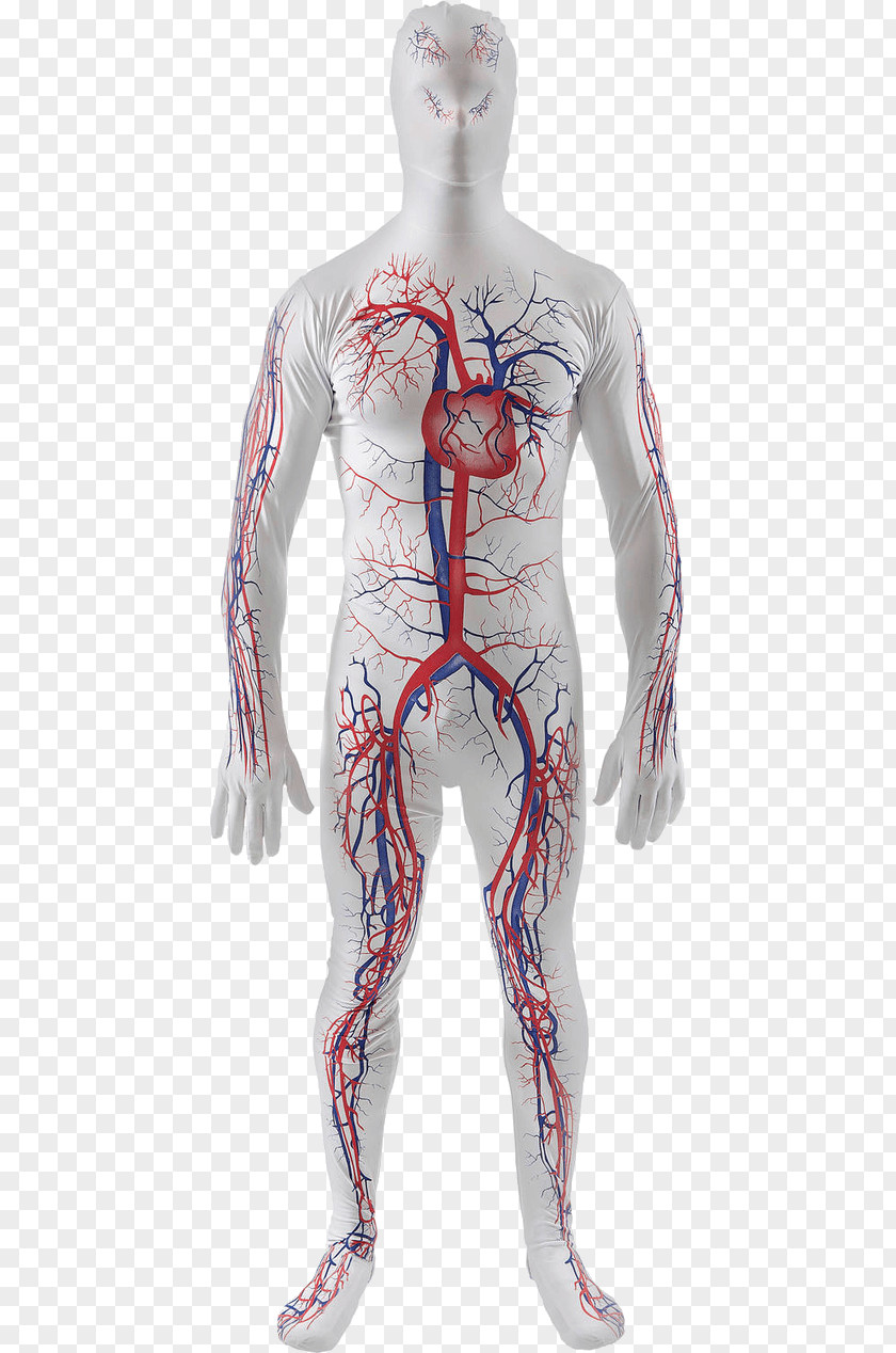 Circulatory System Tracksuit Costume Human Body PNG