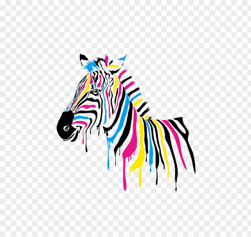 Color Zebra Graphic Design PNG