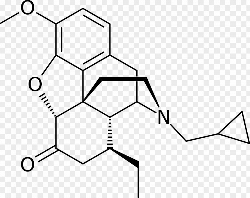 Hydromorphone Opioid Oxymorphone Drug Hydrocodone PNG