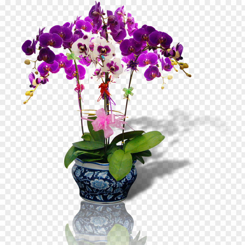 Purple Vase Flower Bonsai PNG