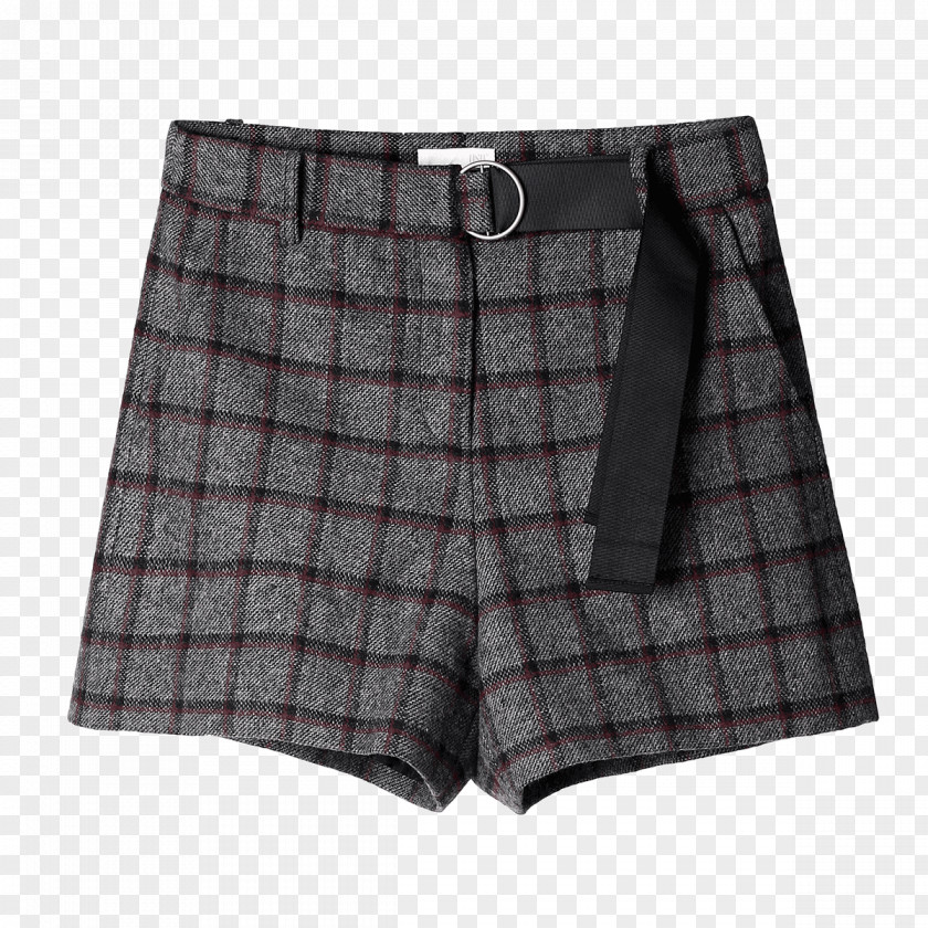 Trunks Bermuda Shorts Tartan Underpants PNG