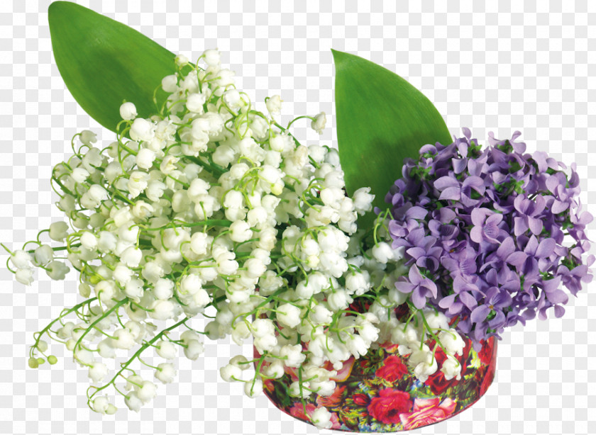 Tube Lily Of The Valley Day Flower PNG