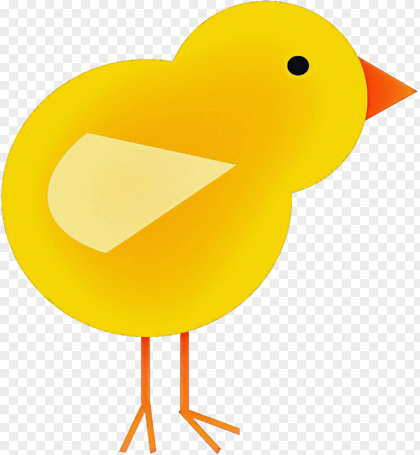 Ducks Birds Chicken Beak Water Bird PNG