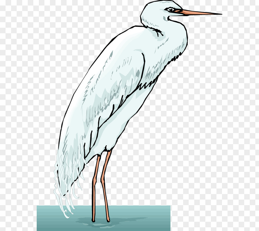 Egrets Heron Royalty-free Clip Art PNG