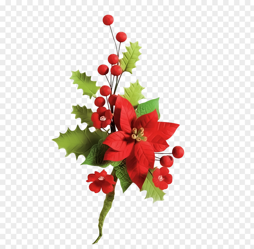 Flower Floral Design Christmas Day Image PNG