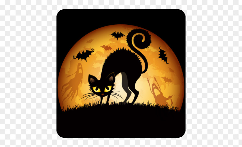 Halloween Stage Desktop Wallpaper Cat Wallpapers PNG