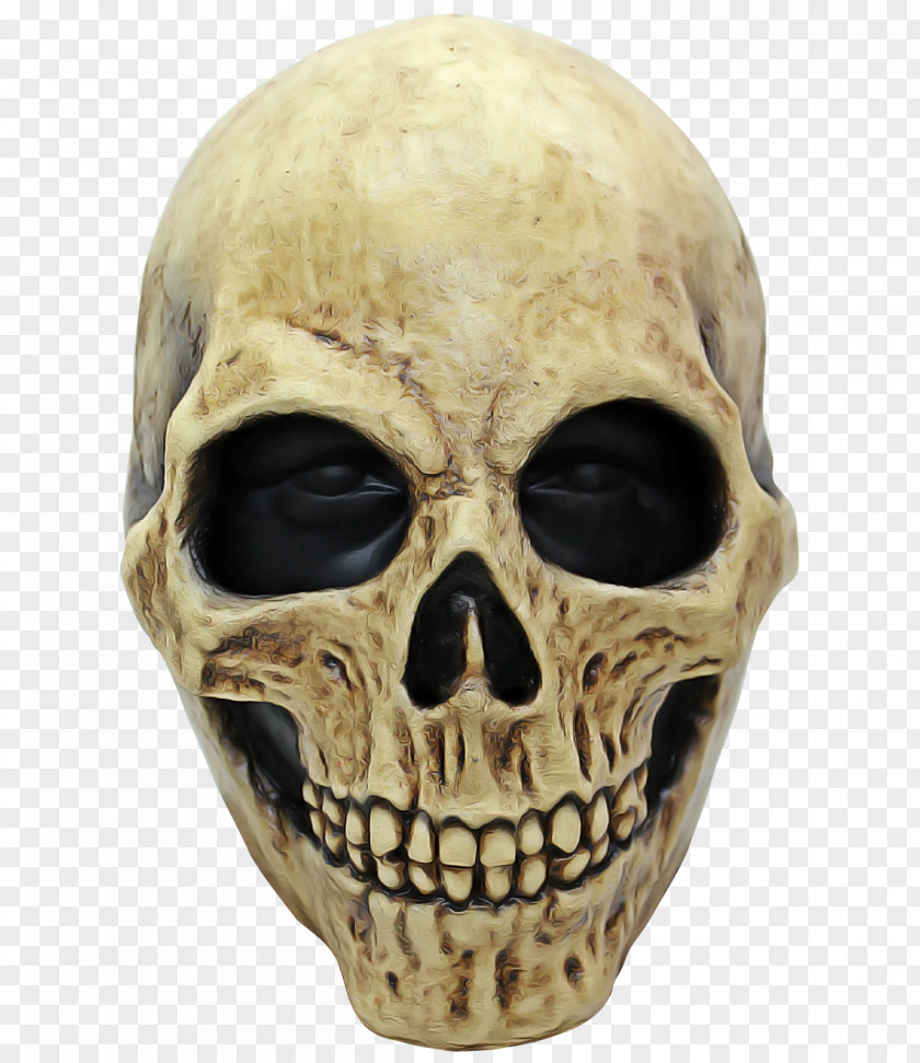 Mask Anthropology Skull Bone Face Head Skeleton PNG