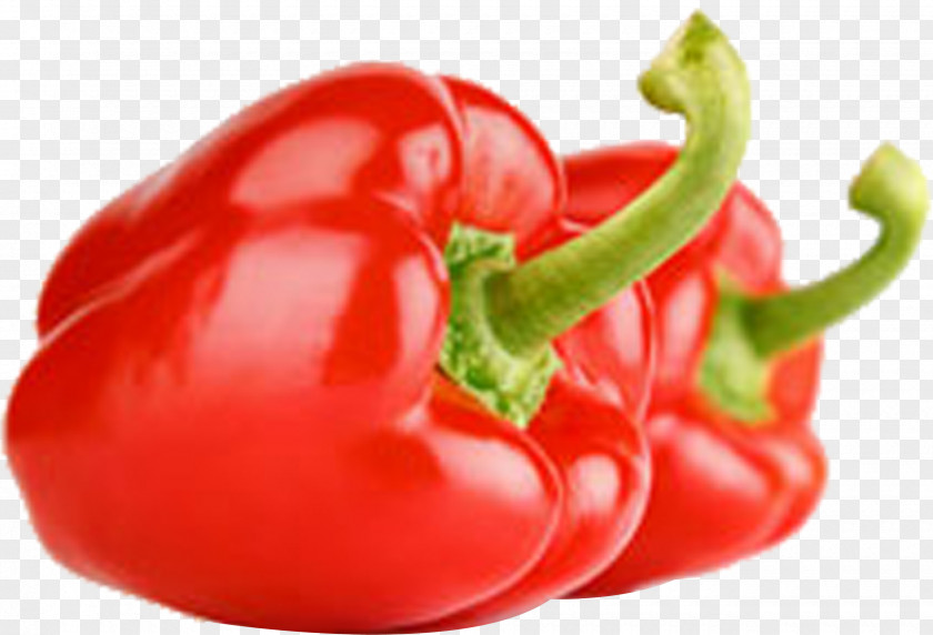 Pepper Chili Con Carne Vegetable Fruit Tomato PNG