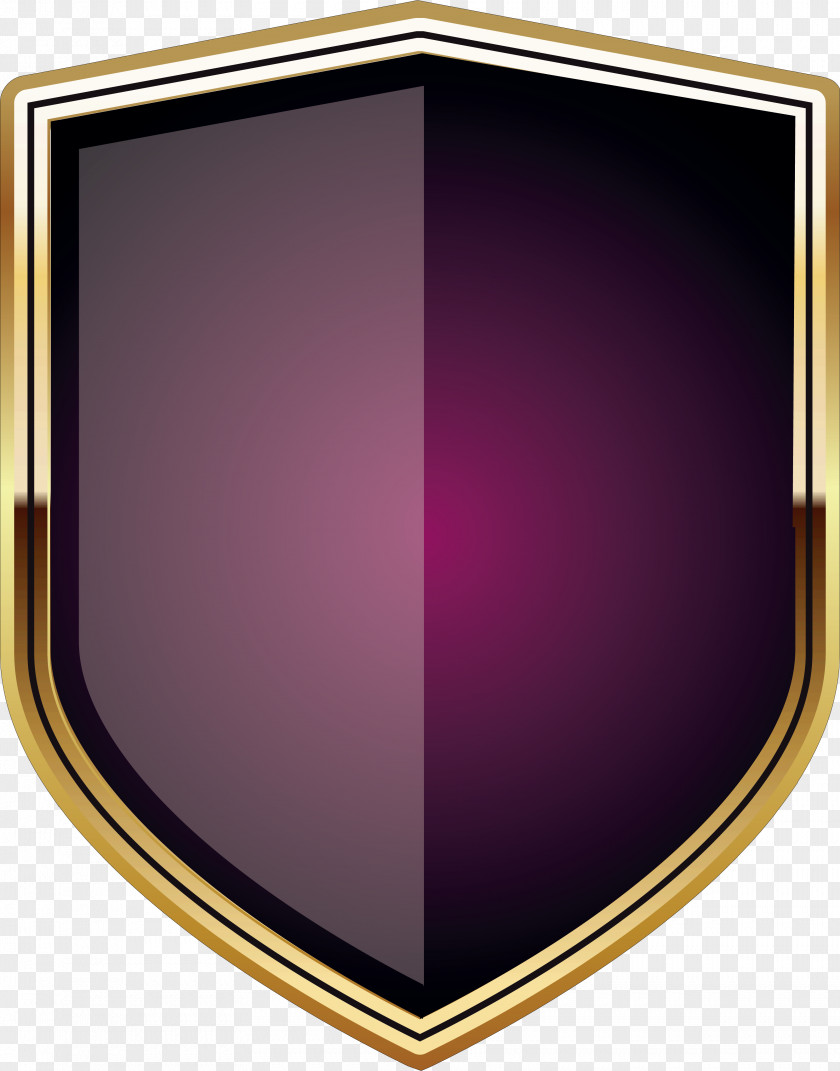 Soldier Shield PNG