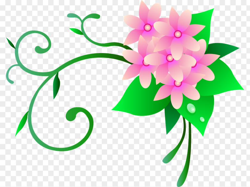 Stary Frame Vector Graphics Design Image Flower Motif PNG