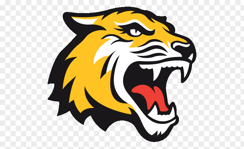 Tiger Rochester Institute Of Technology Ithaca College RIT Tigers Men's Ice Hockey PNG