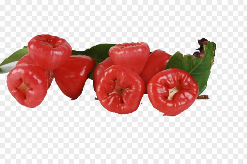 A Bunch Of Wax Apple Picture Material Java Syzygium Jambos Watery Rose Nutrition Auglis PNG