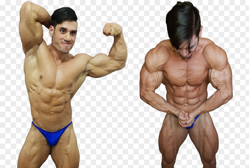 Bodybuilding Muscle Tissue Human Body Nutrient PNG