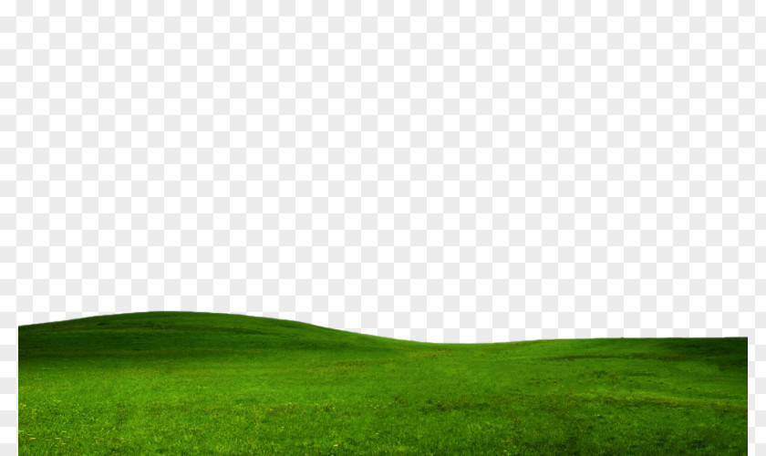 Field Free Download Lawn Green Sky Grassland Wallpaper PNG
