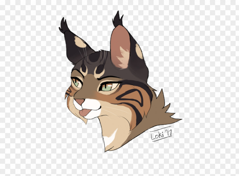 Kitten Whiskers Cat Felidae Loki PNG