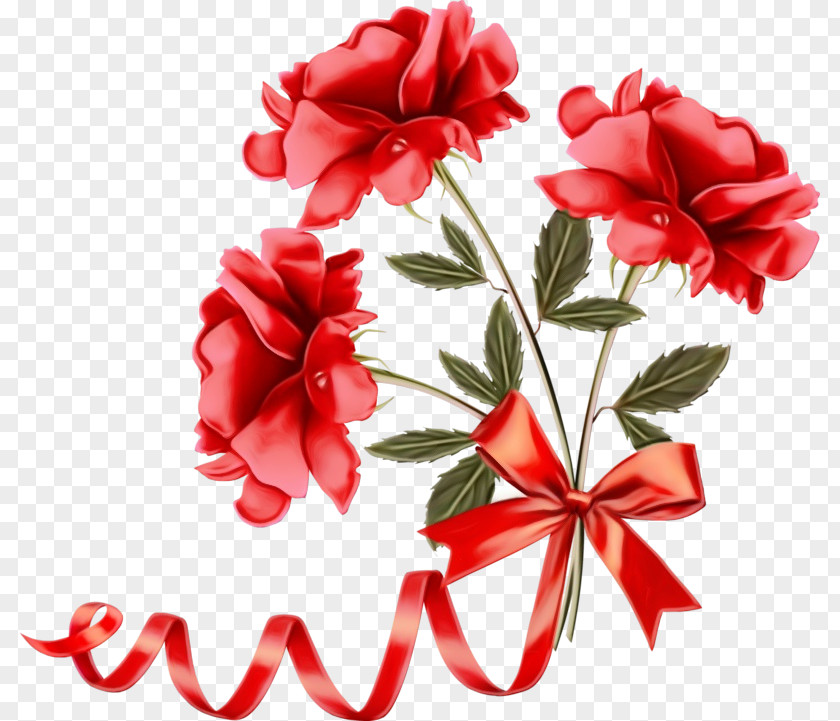 Red Flower Petal Plant Cut Flowers PNG