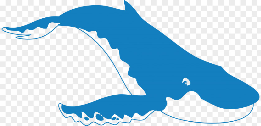 Shark Noun Marine Biology PNG
