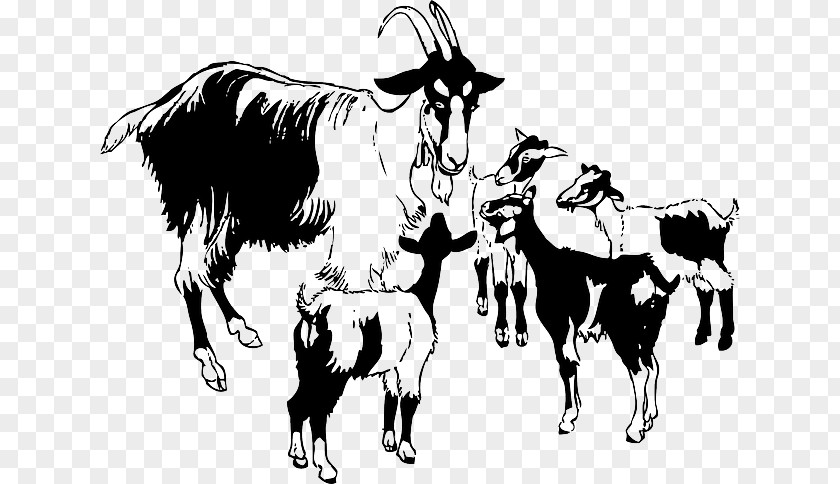 Sheep Black Bengal Goat Boer Anglo-Nubian Clip Art PNG