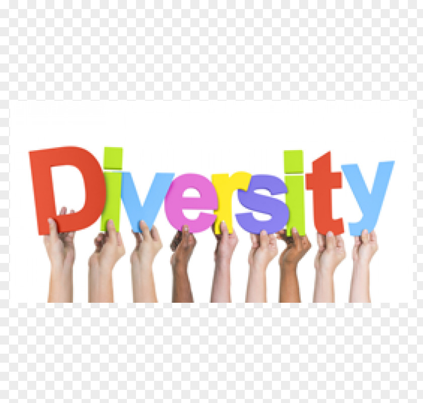 Diversity Training Workplace Workforce Multiculturalism PNG