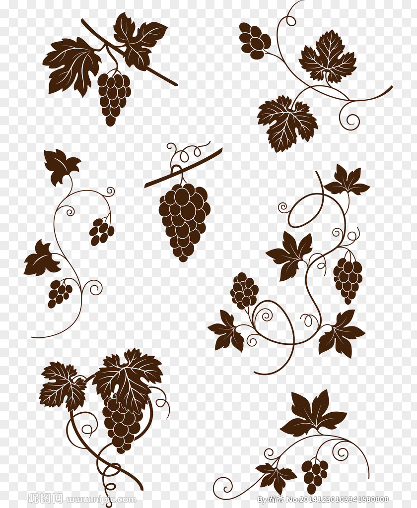 Grape Common Vine Royalty-free Illustration PNG